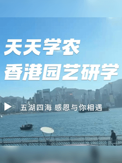 与香港园艺学会联合举办香港园艺研学，专业园境师带队讲解。